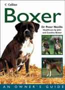 Boxer